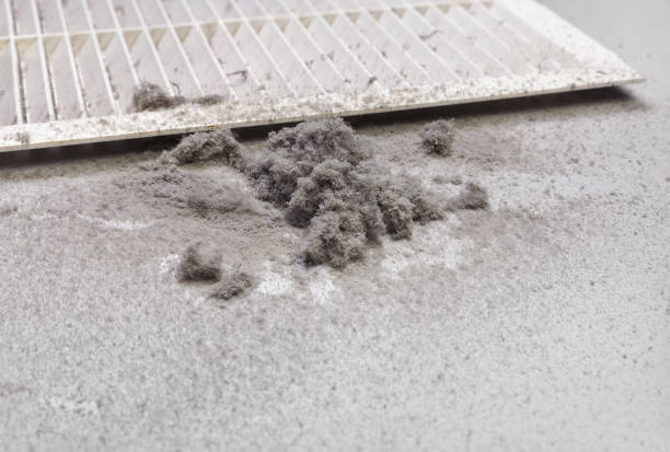 Best Professional Duct Cleaning Services  in Lake Lure, NC