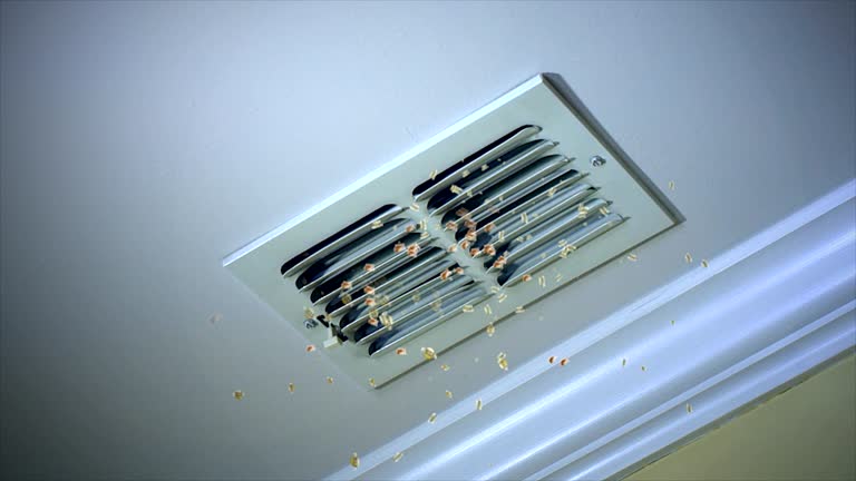 Best Best Air Duct Cleaning Company  in Lake Lure, NC