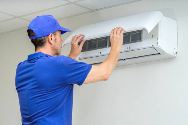 Best Air Duct Sanitizing Services  in Lake Lure, NC