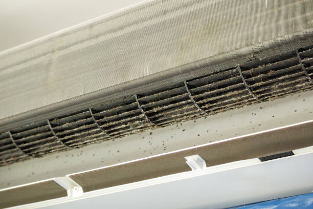 Best Emergency Air Duct Cleaning  in Lake Lure, NC